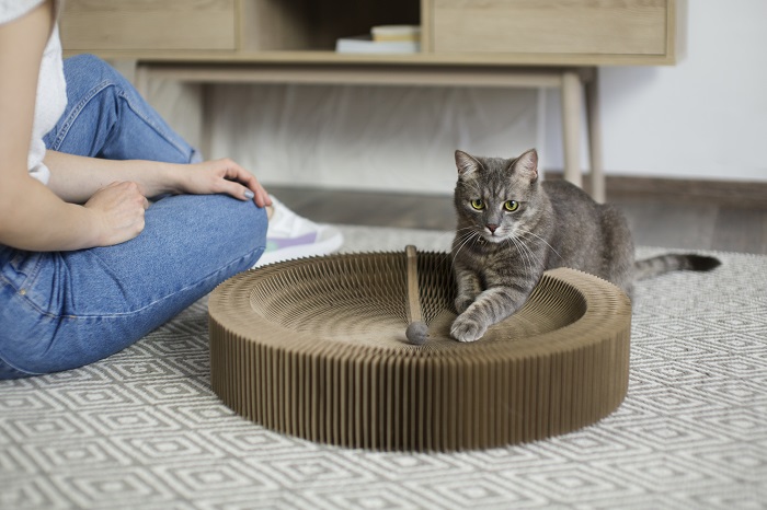 3. cat scratcher cardboard